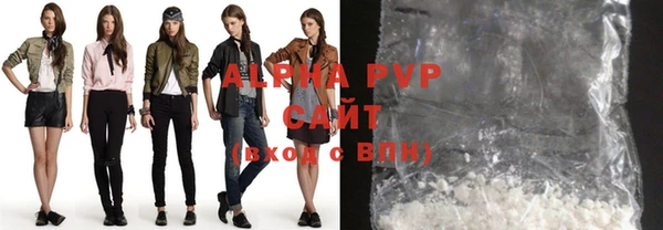 стафф Осташков