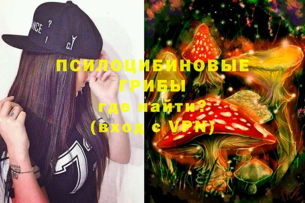 стафф Осташков