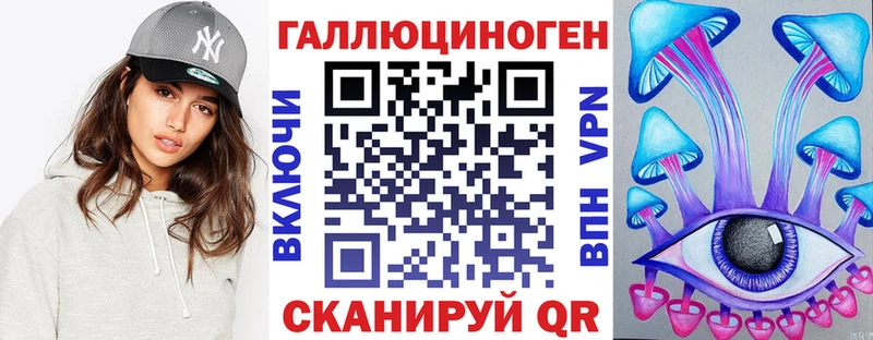 omg как войти  Ужур  Галлюциногенные грибы Psilocybine cubensis 